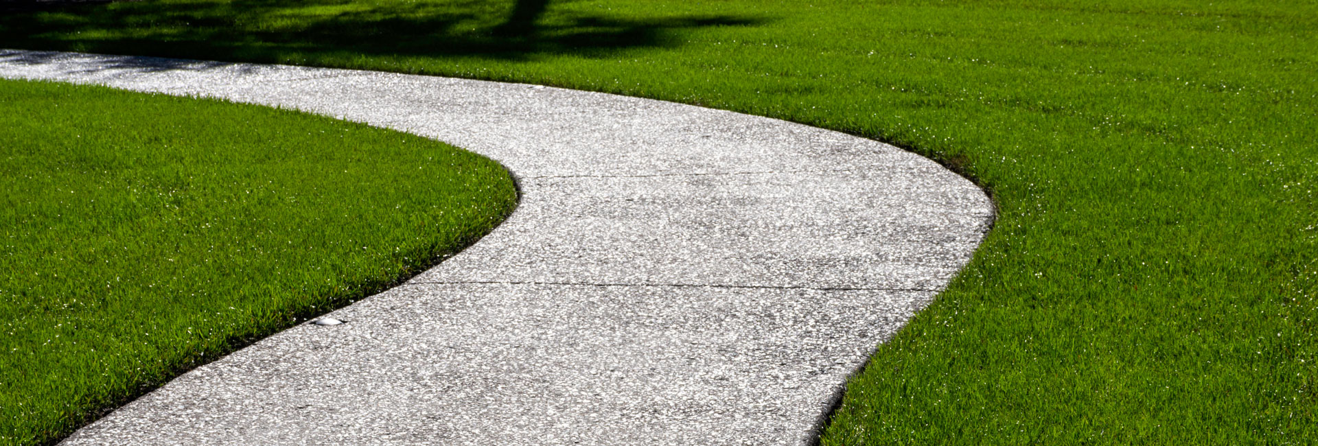 Der perfekte Rasen – So gelingt Ihnen ein wunderschöner Garten