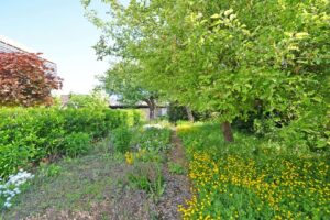 Blick in den Garten