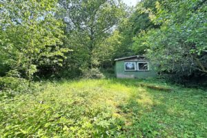 Imkerhaus im Wald