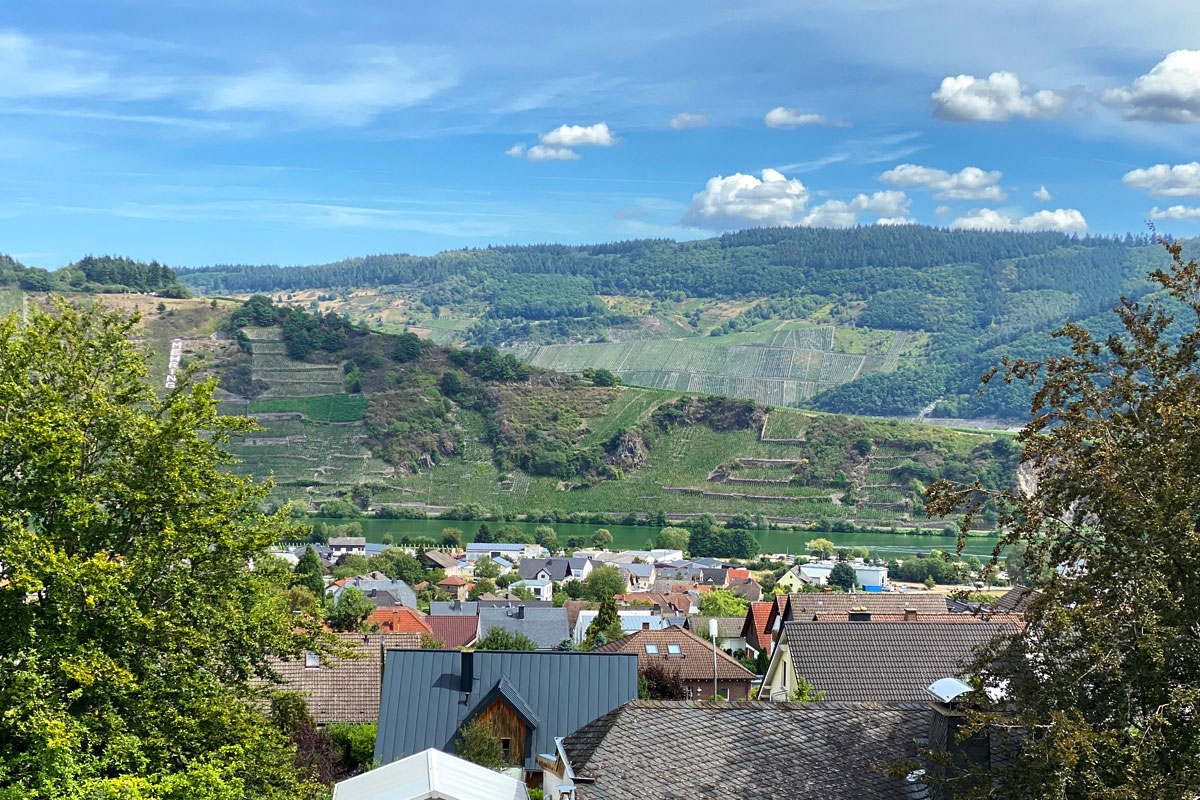 Ausblick-über-das-Moseltal