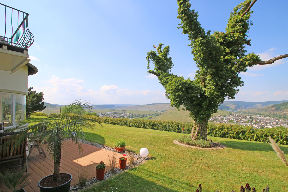 Aussicht-von-der-hinteren-Terrasse