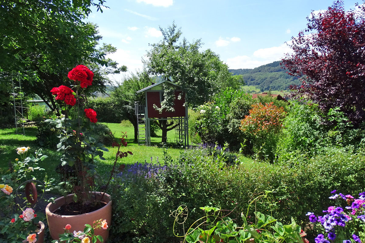 Blick-von-der-Terrasse-in-den-Garten