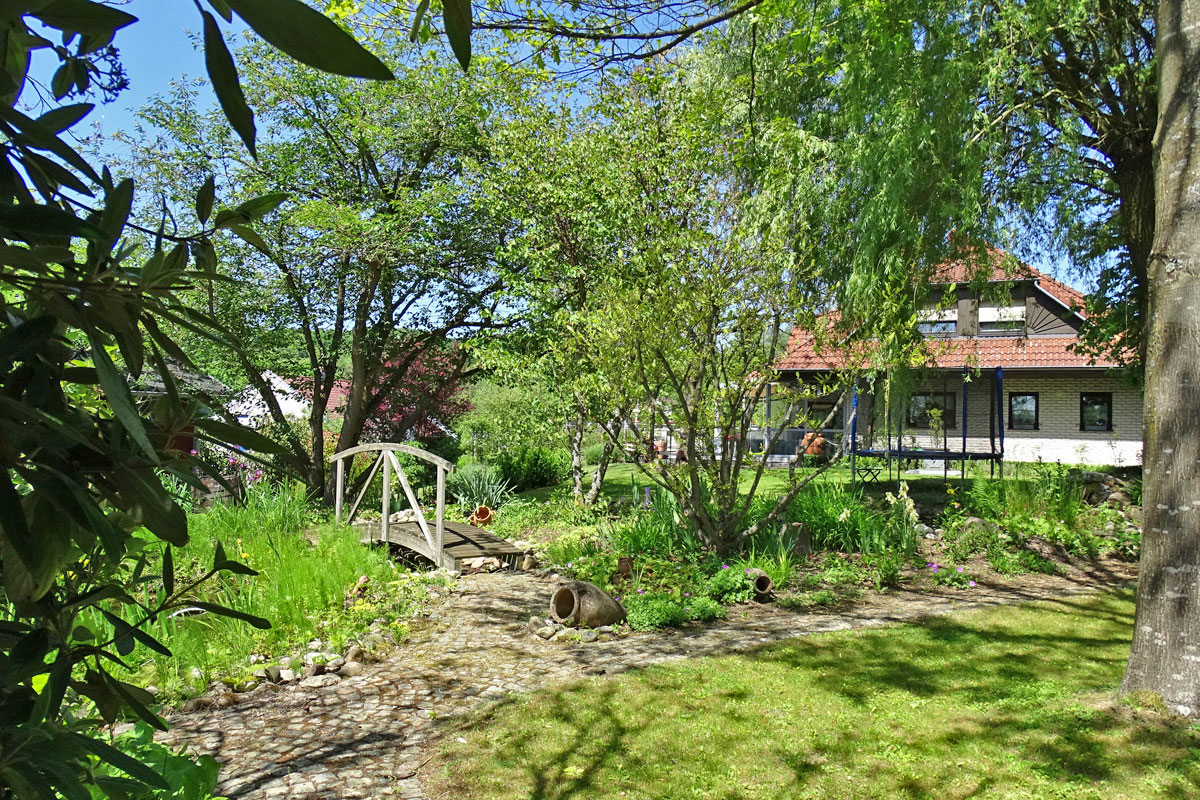Gartenansicht-mit-Blick-aufs-Haus