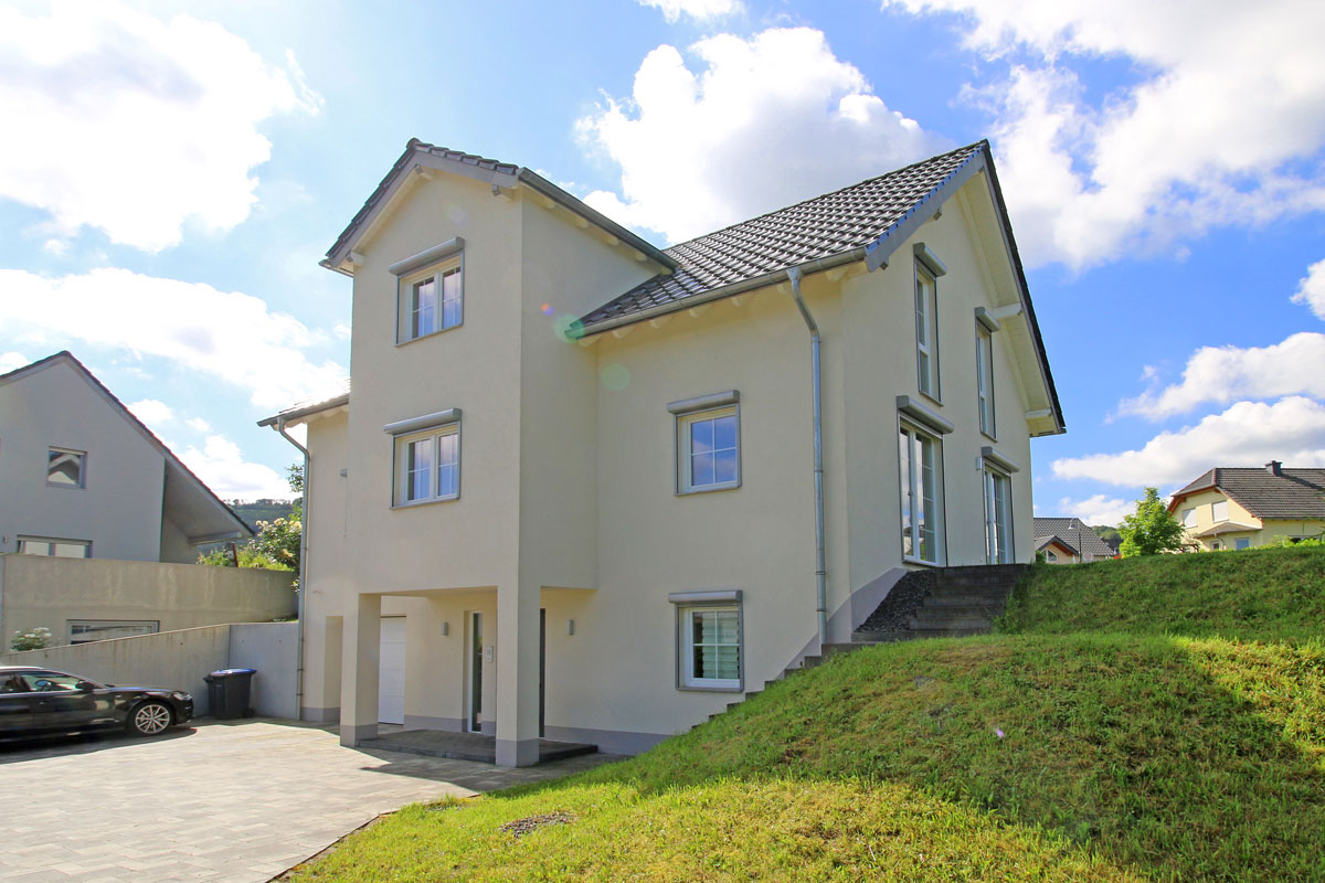 Seitliche-Vorderansicht