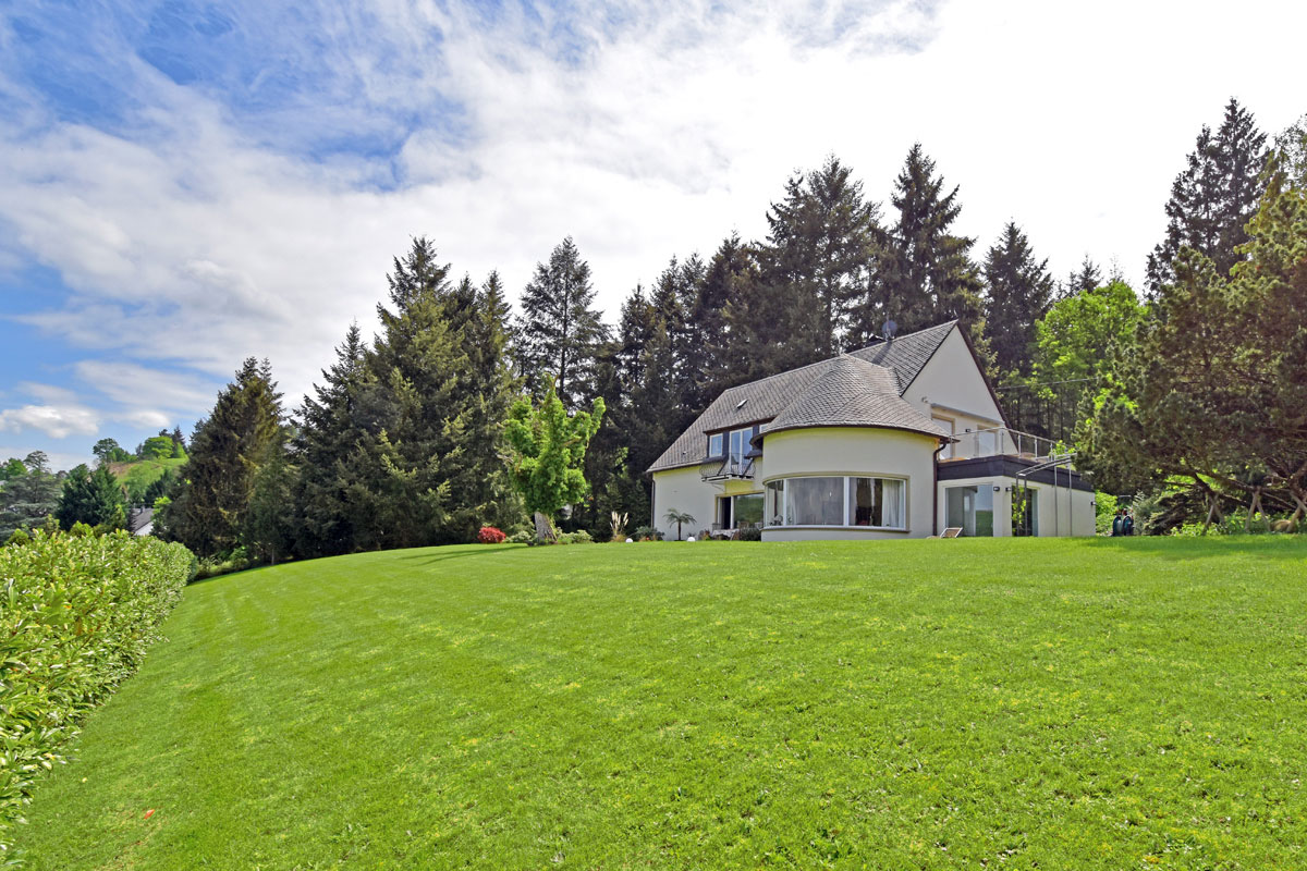 Überblick-Gartenjpg