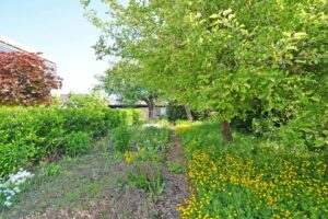 Blick in den Garten