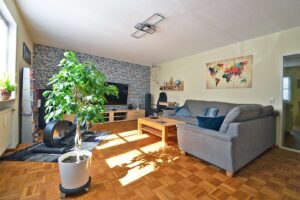 Wohnzimmer mit Parkettboden