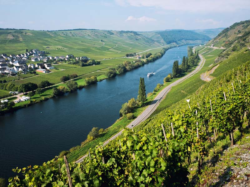 Raus aus der Stadt, rein ins Grüne – studieren mit Abstand