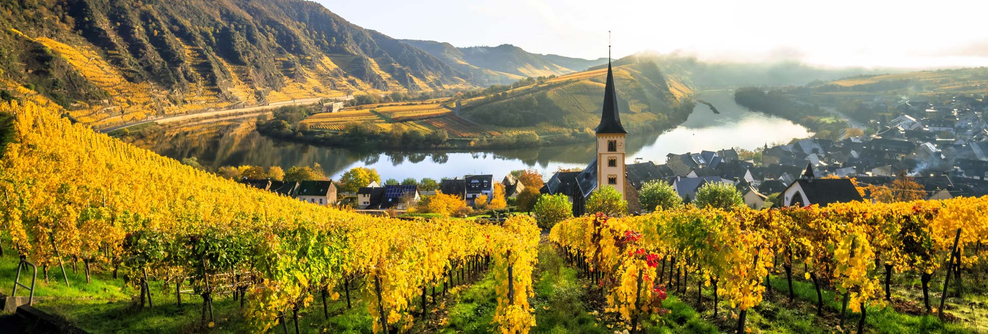 Die Moselregion rund um Trier - Geschichte, Weinbau und die Faszination der Landschaft