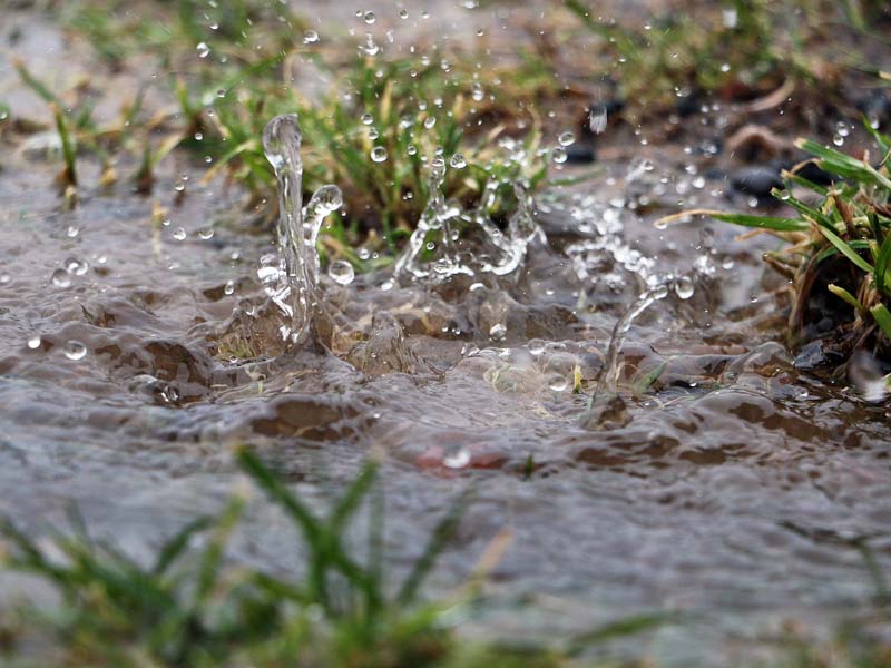 Garten und Außenbereich – unterschätzte Einflussfaktoren auf den Gebäudeschutz
