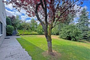 Flacher, parkähnlicher Garten seitlich des Hauses