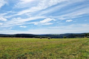 toller, unverbaubarer Ausblick