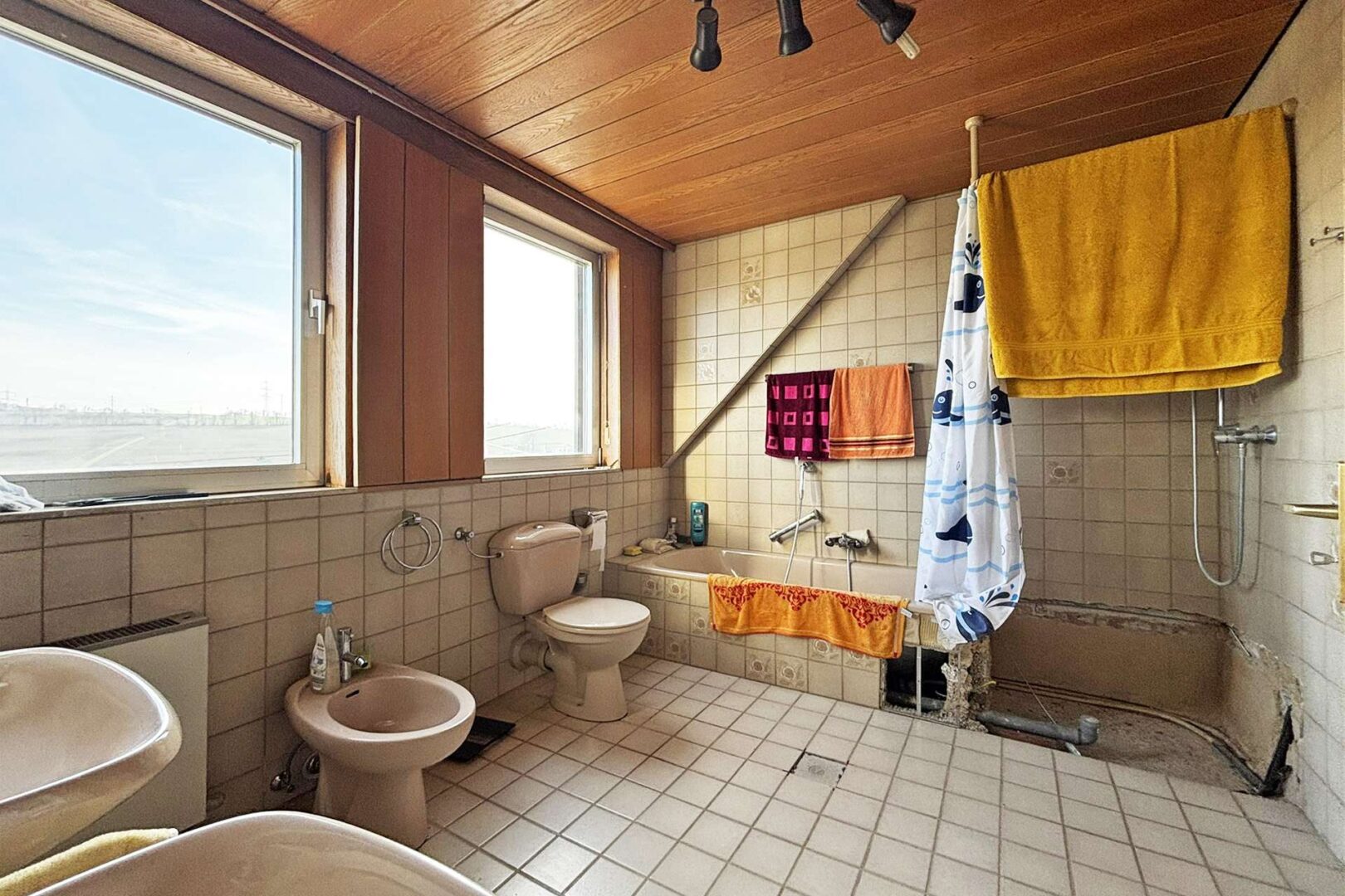 Wanne und ehemalige Dusche