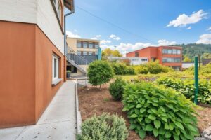 Garten (KI generiert)