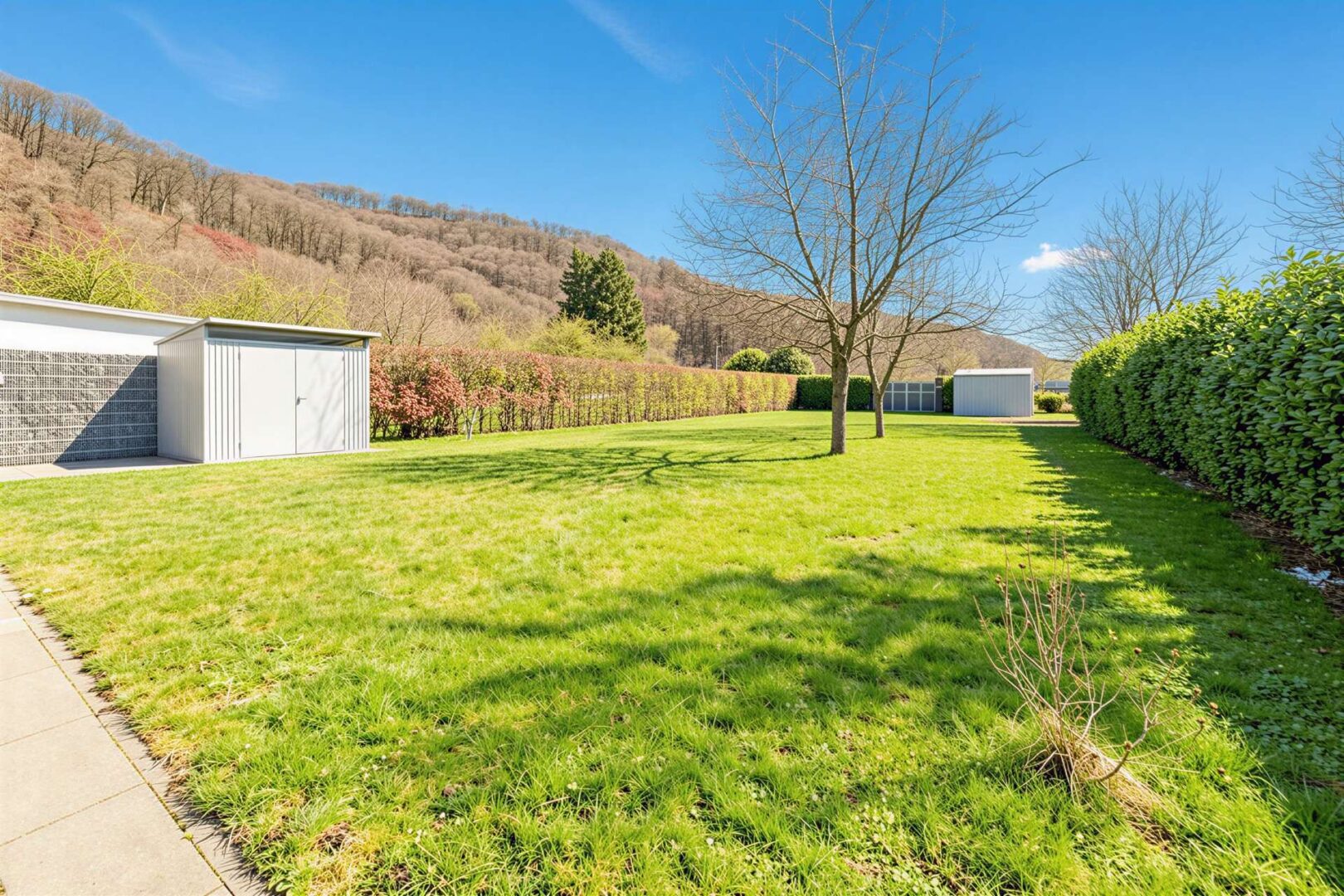 weitläufiger, ebener Garten