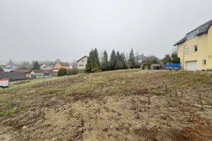 Grundstücksansicht frontal