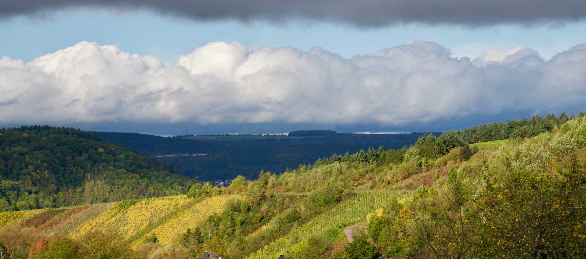 Immobilienmakler Gusterath im Ruwertal: Gilbers und Baasch Immobilien