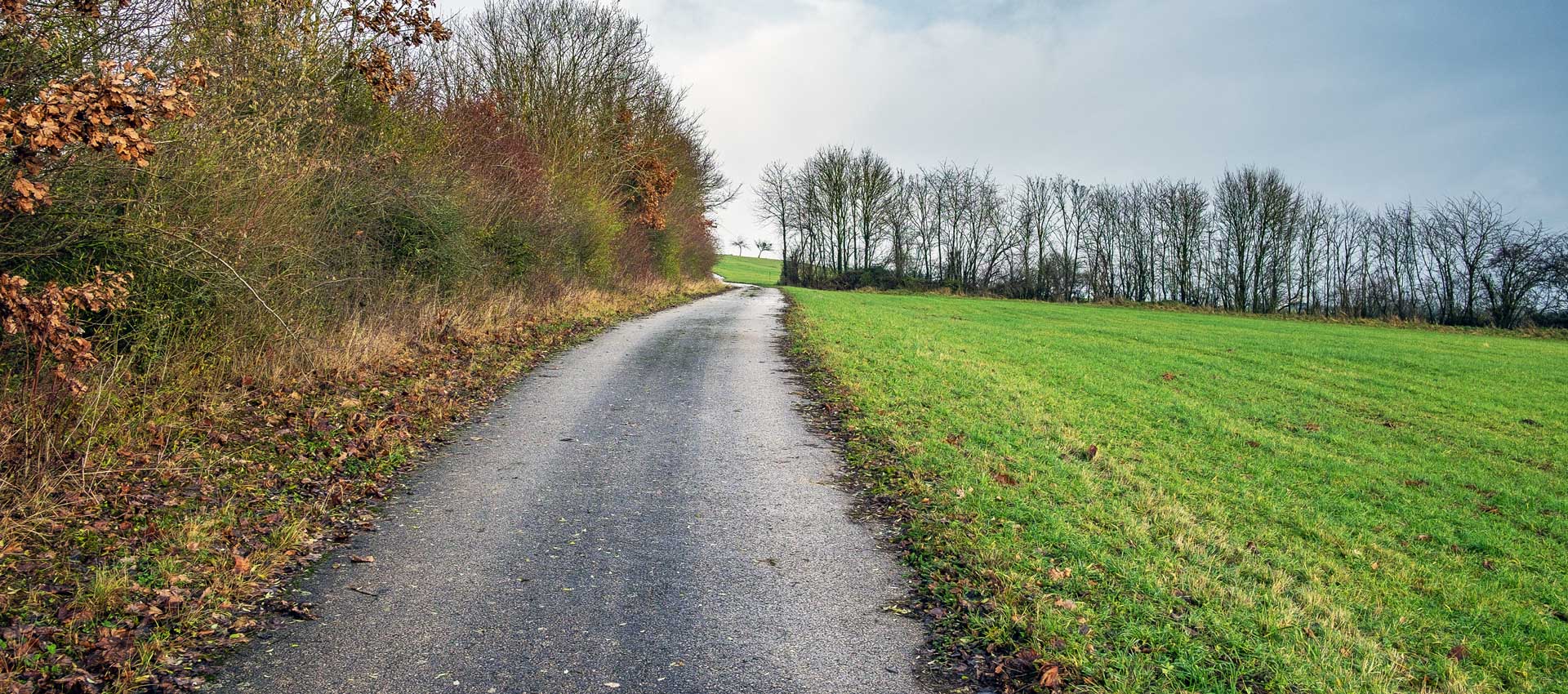 Immobilienmakler Sirzenich: Gilbers & Baasch Immobilien