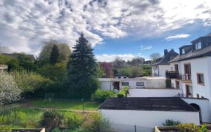 Blick ins Grüne vom Balkon