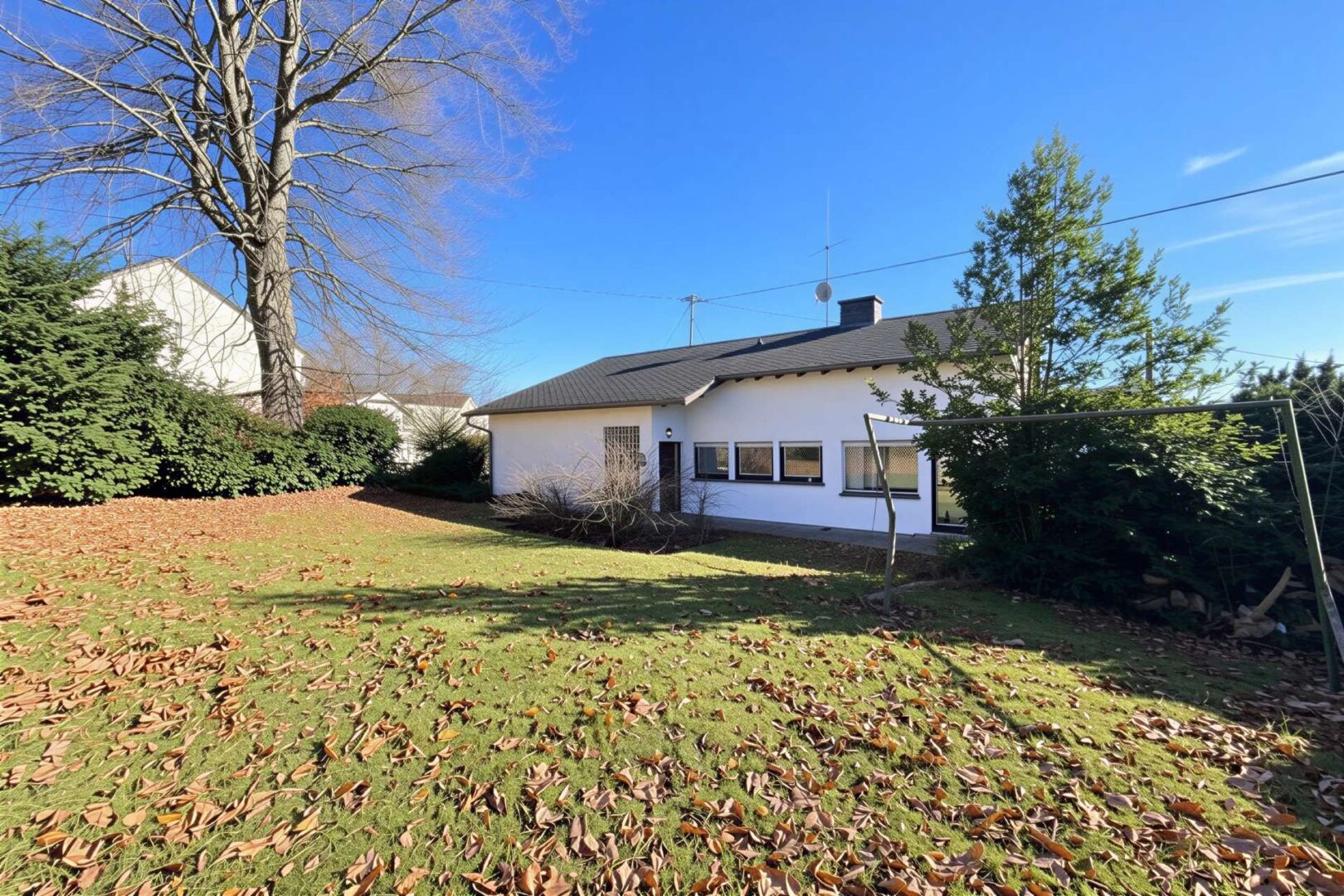 Rückseite Gebäude & Garten