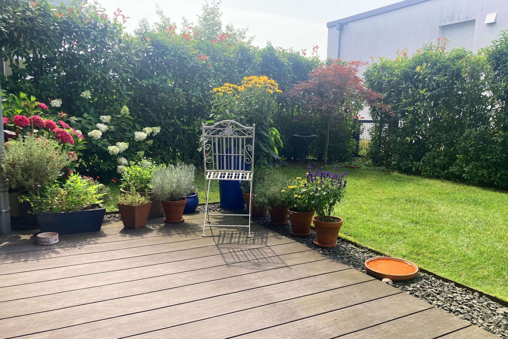 Sommerimpression Garten - Bild 2