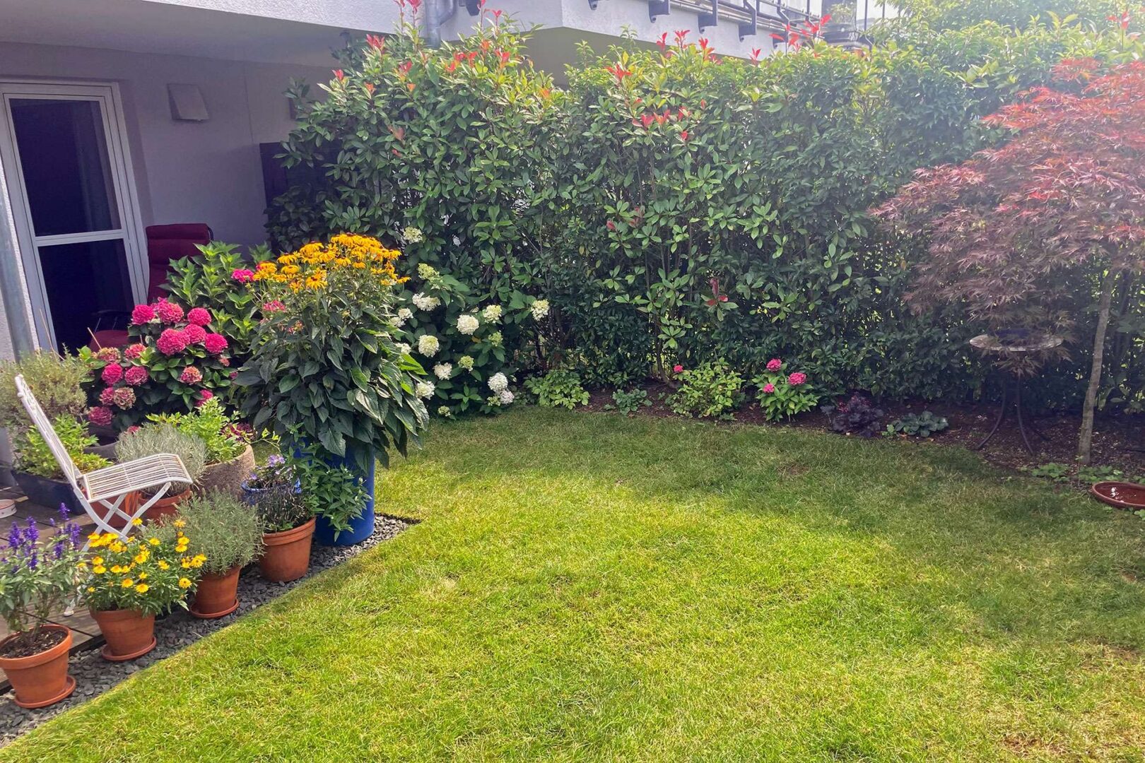 Sommerimpression Garten - Bild 1