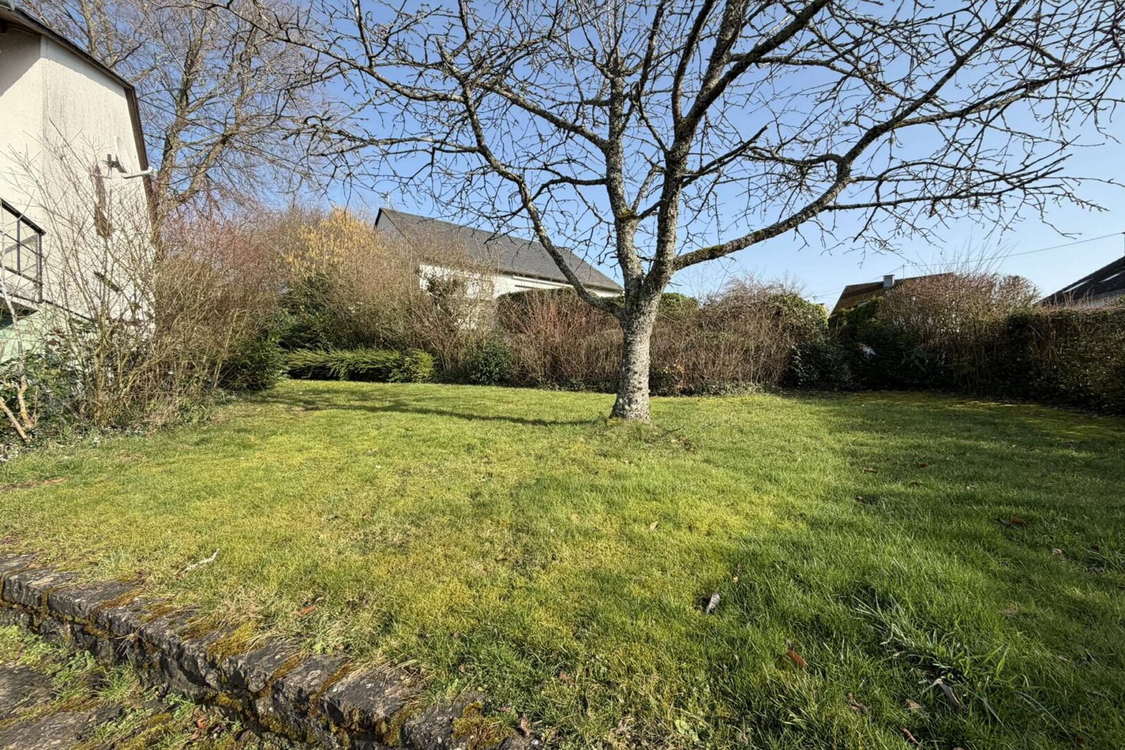 seitlicher Vorgarten