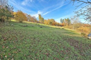 große Gartenfläche hinter den Gebäuden