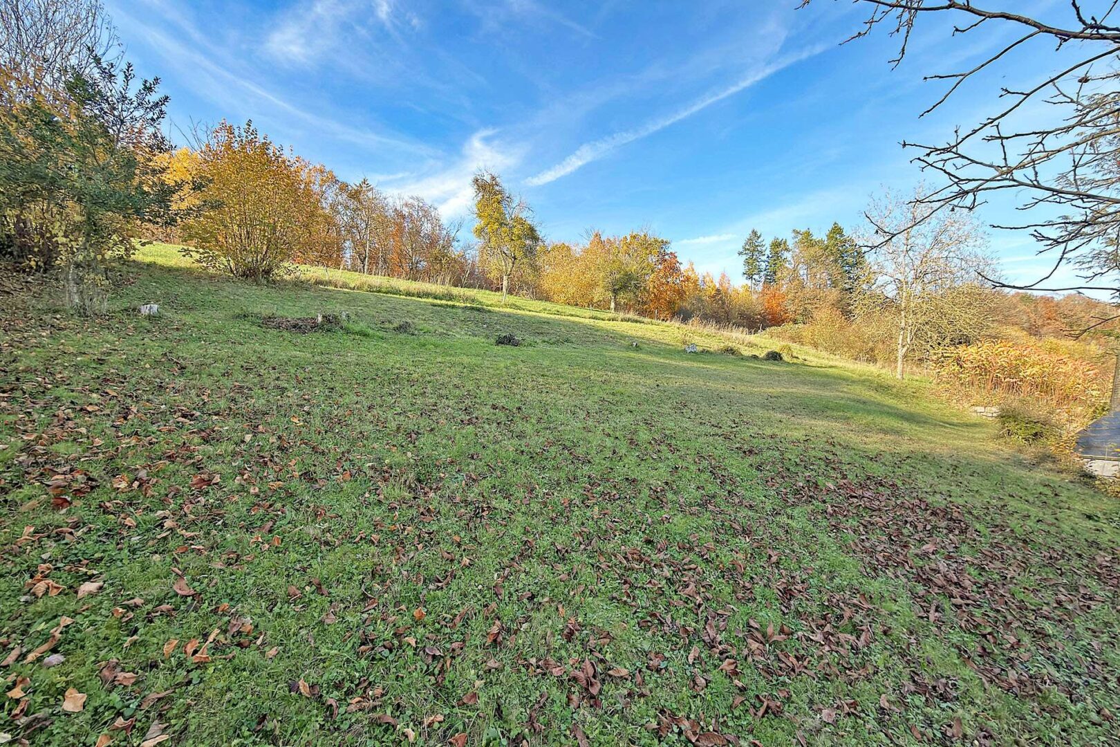große Gartenfläche hinter den Gebäuden
