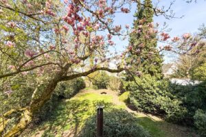 Frühlings-Impression: Blick in den Garten vom Wohnbereich