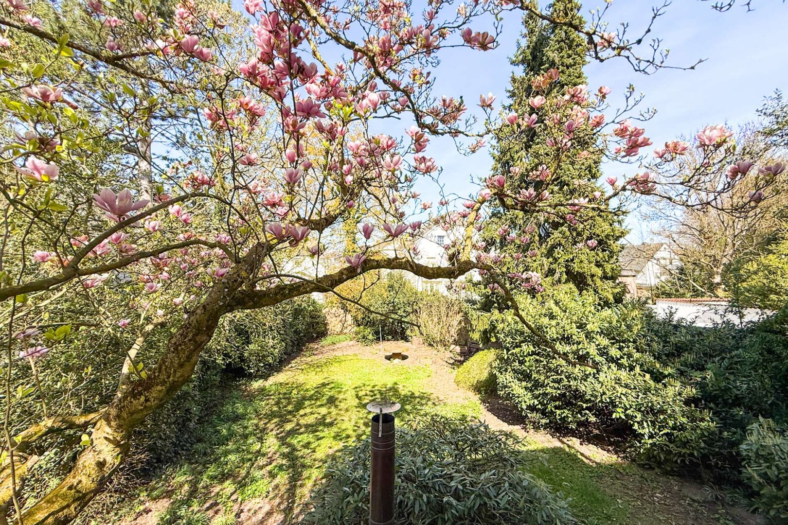 Frühlings-Impression: Blick in den Garten vom Wohnbereich