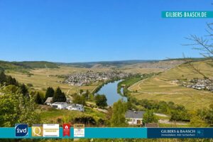 Panoramablick vom Grundstück ins Moseltal
