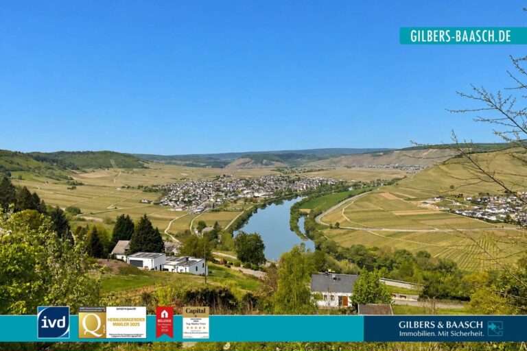 Panoramablick vom Grundstück ins Moseltal
