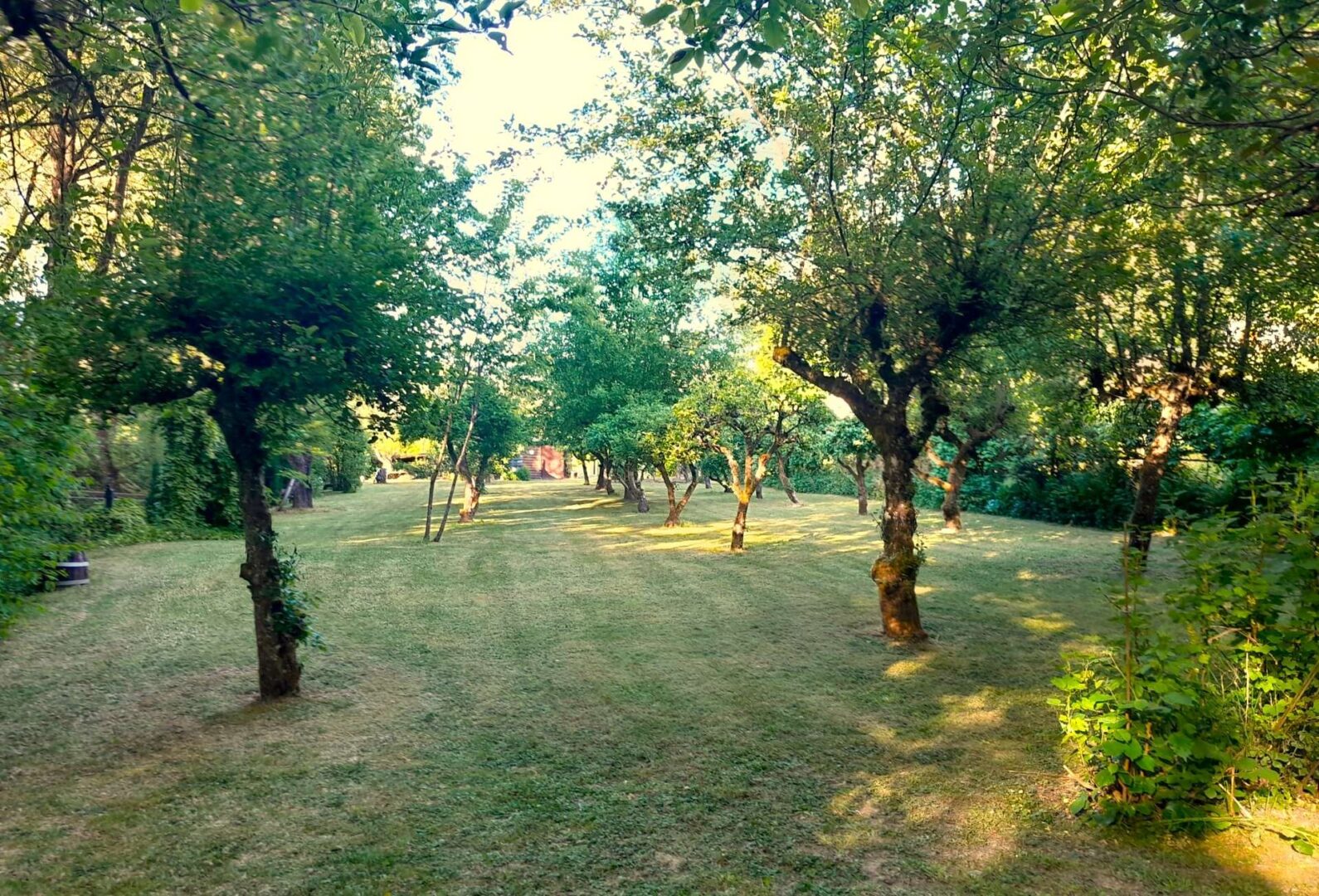 großzügige, parkähnliche Anlage