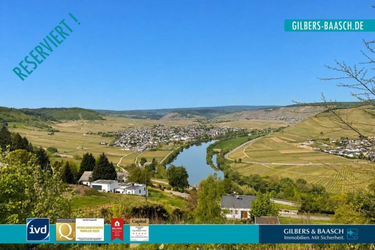 Panoramablick vom Grundstück ins Moseltal