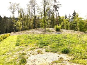 Blick übers Grundstück vom Moseltal abgewandt