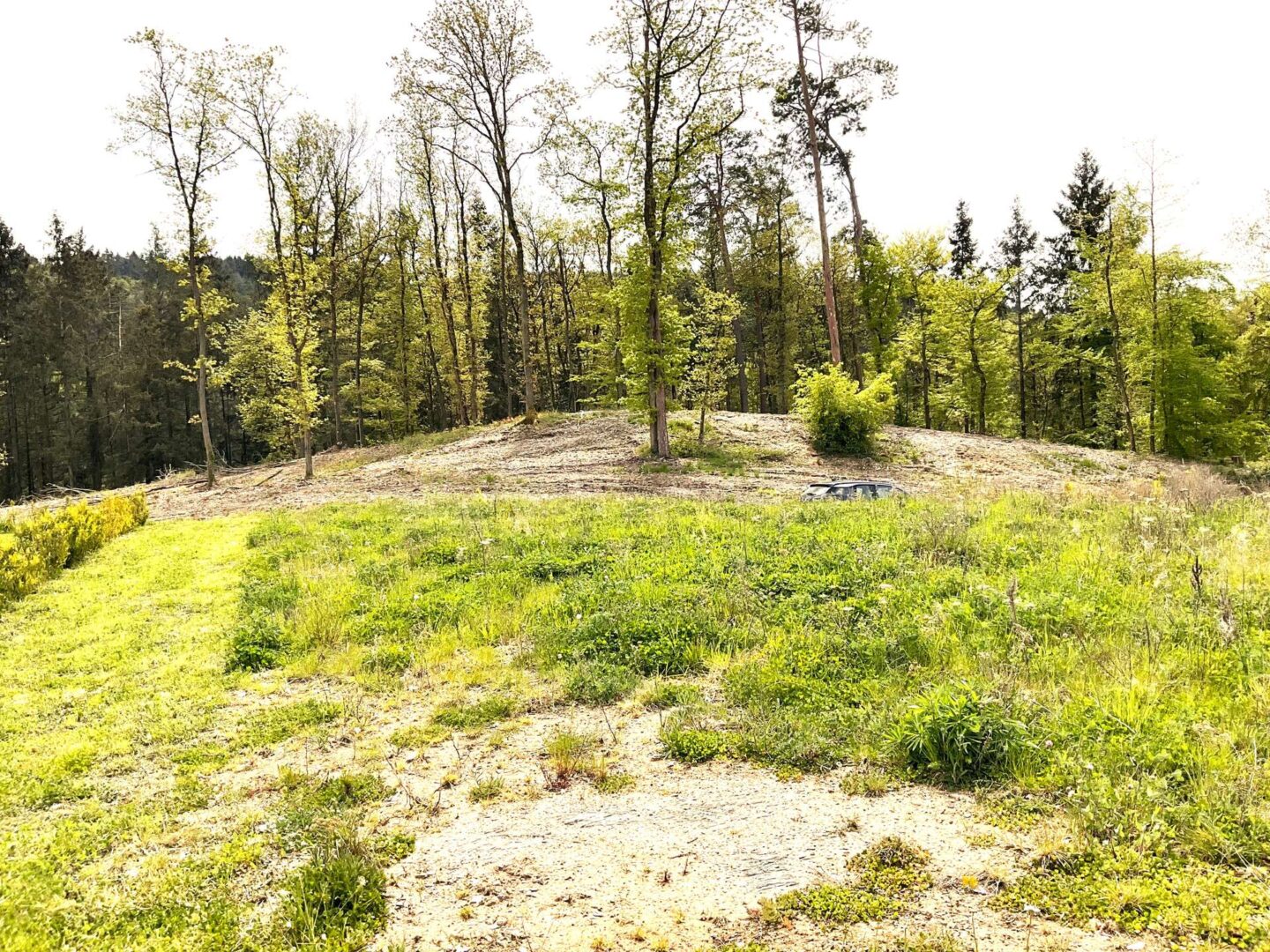 Blick übers Grundstück vom Moseltal abgewandt