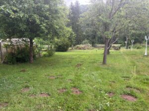Gartenbereich zur Saar hin