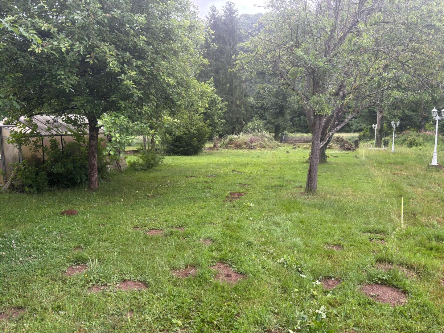 Gartenbereich zur Saar hin