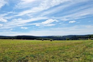 toller, unverbaubarer Ausblick