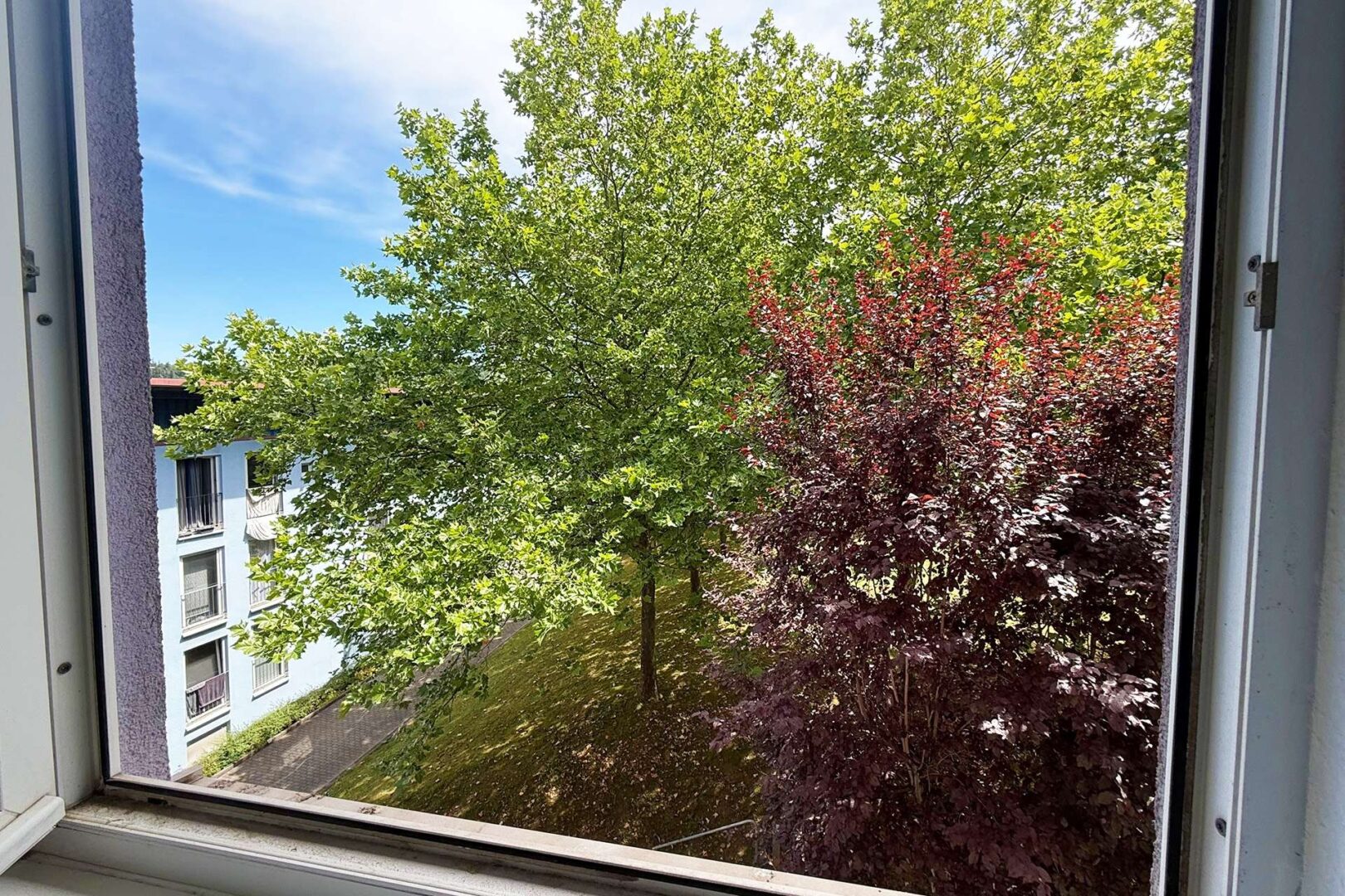 Blick ins Grüne