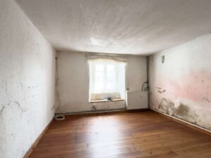 Wohnzimmer 2