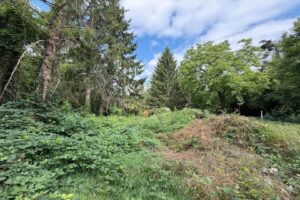 große Gartenfläche