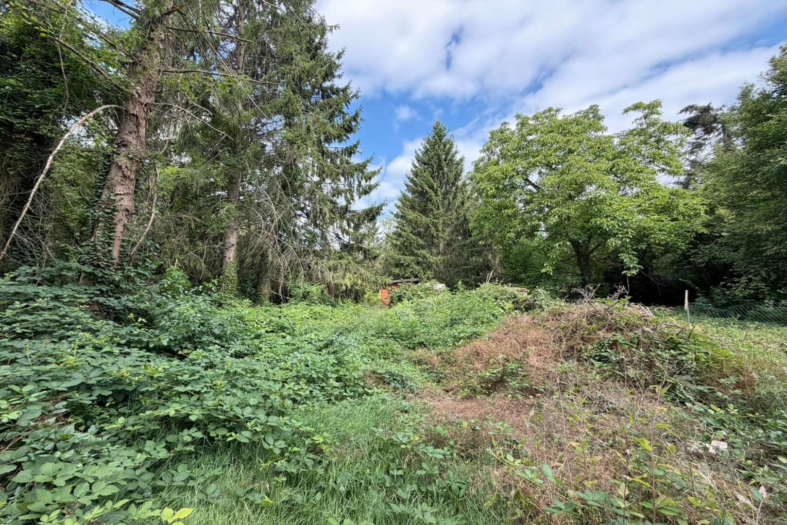 große Gartenfläche