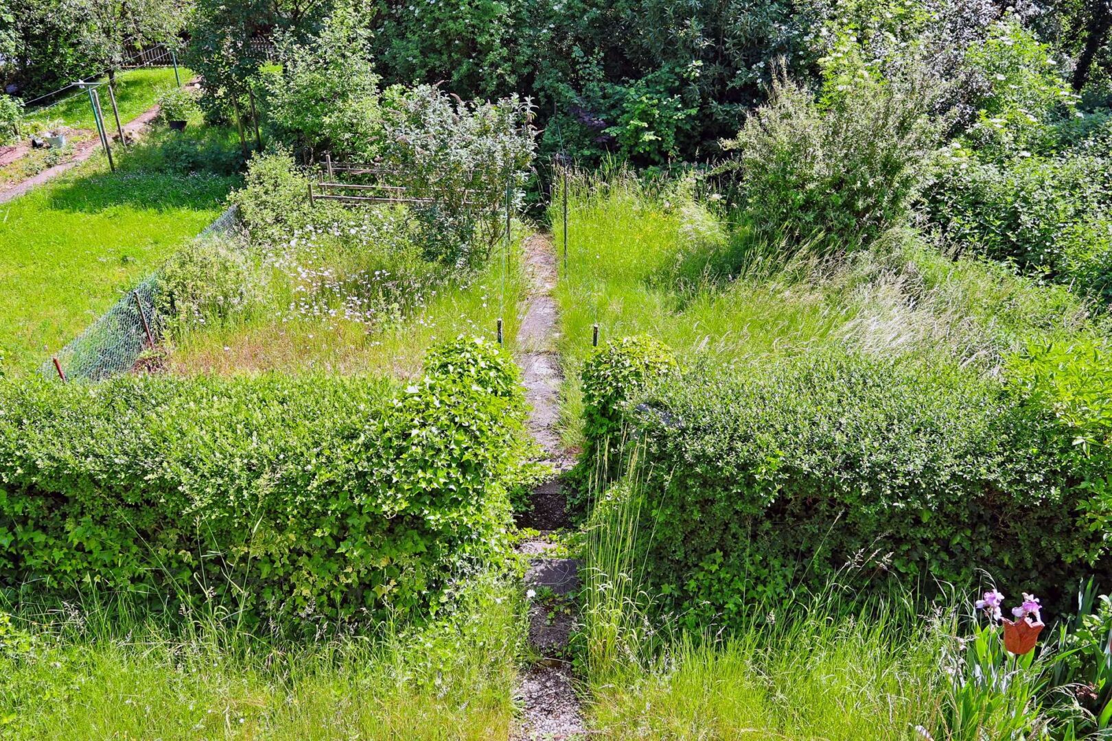 Garten